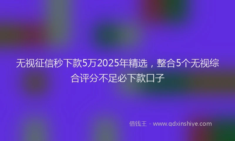 无视征信秒下款5万2025年精选，整合5个无视综合评分不足必下款口子