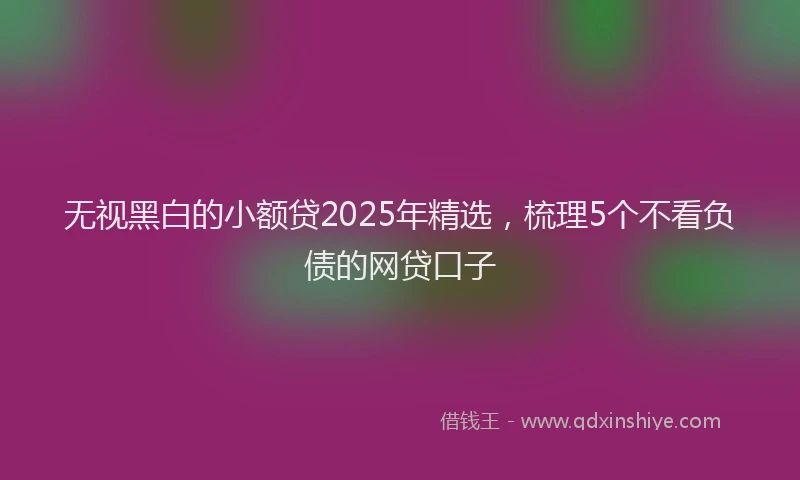 无视黑白的小额贷2025年精选，梳理5个不看负债的网贷口子