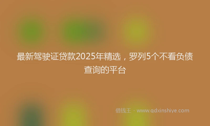 最新驾驶证贷款2025年精选，罗列5个不看负债查询的平台