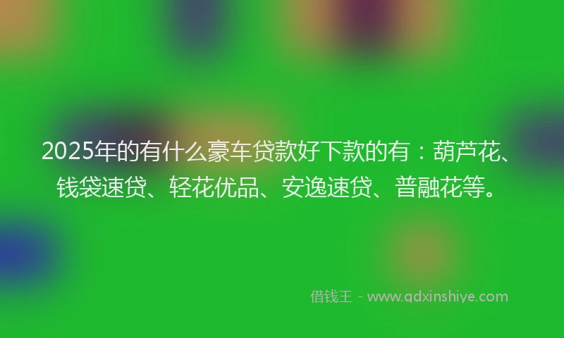2025年的有什么豪车贷款好下款的有：葫芦花、钱袋速贷、轻花优品、安逸速贷、普融花等。