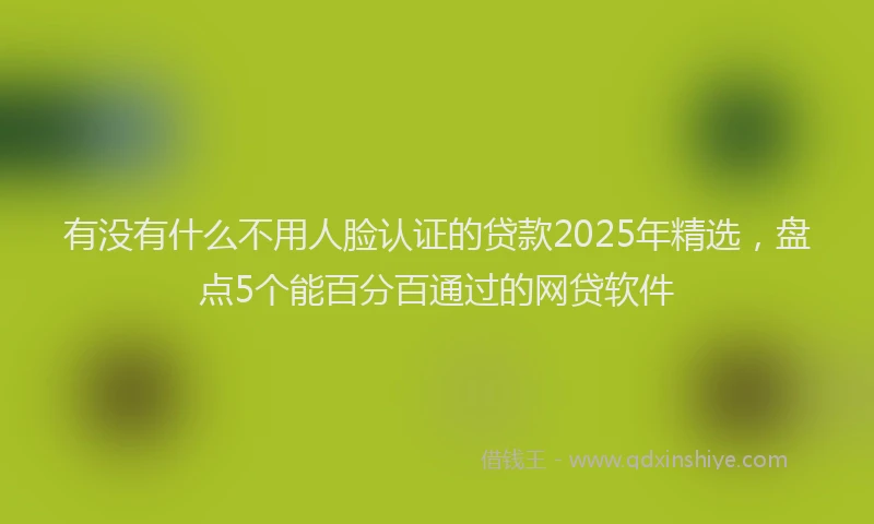 有没有什么不用人脸认证的贷款2025年精选，盘点5个能百分百通过的网贷软件