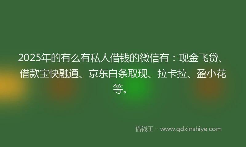 2025年的有么有私人借钱的微信有：现金飞贷、借款宝快融通、京东白条取现、拉卡拉、盈小花等。
