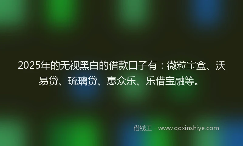 2025年的无视黑白的借款口子有：微粒宝盒、沃易贷、琉璃贷、惠众乐、乐借宝融等。