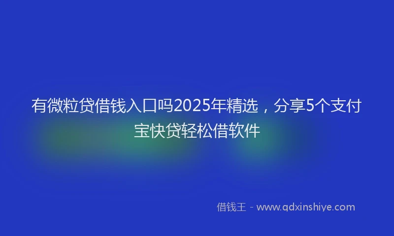 有微粒贷借钱入口吗2025年精选，分享5个支付宝快贷轻松借软件