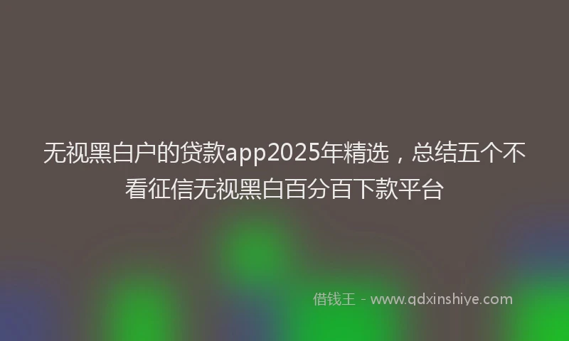 无视黑白户的贷款app2025年精选，总结五个不看征信无视黑白百分百下款平台