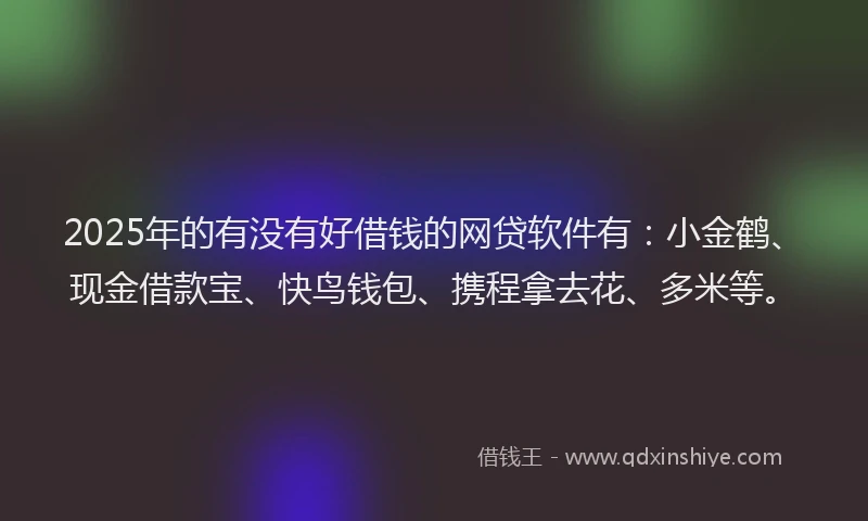 2025年的有没有好借钱的网贷软件有：小金鹤、现金借款宝、快鸟钱包、携程拿去花、多米等。