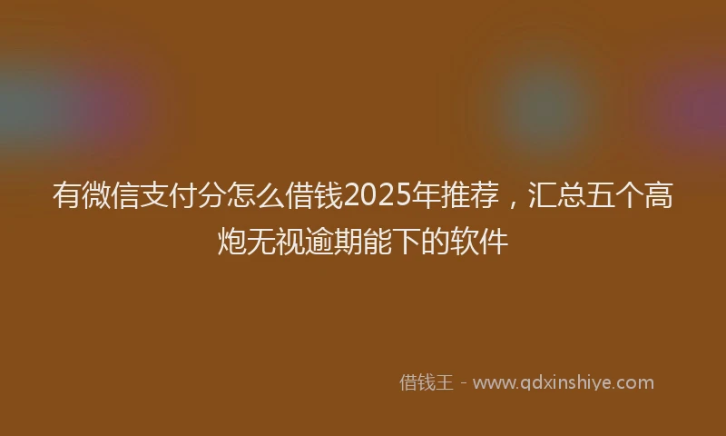 有微信支付分怎么借钱2025年推荐，汇总五个高炮无视逾期能下的软件