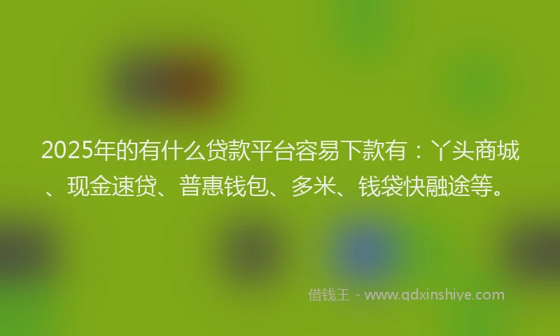 2025年的有什么贷款平台容易下款有：丫头商城、现金速贷、普惠钱包、多米、钱袋快融途等。