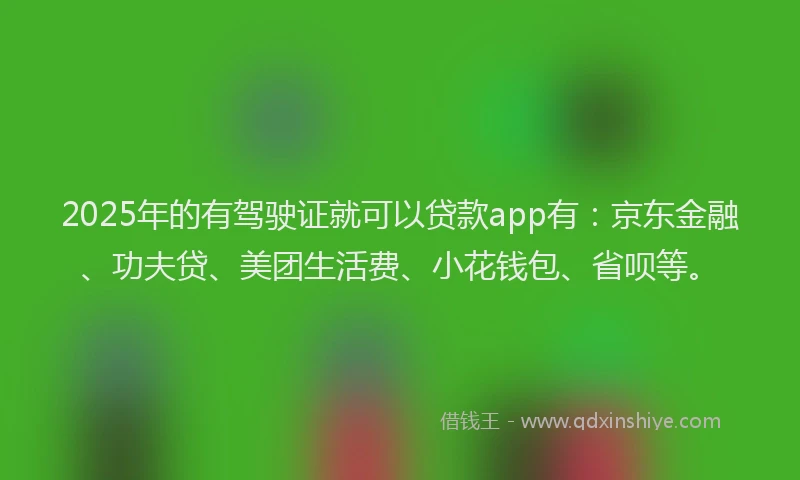 2025年的有驾驶证就可以贷款app有：京东金融、功夫贷、美团生活费、小花钱包、省呗等。