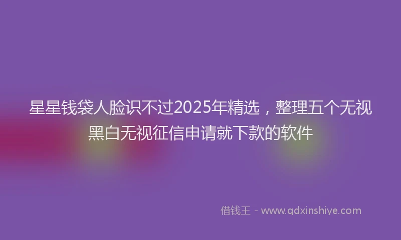 星星钱袋人脸识不过2025年精选，整理五个无视黑白无视征信申请就下款的软件