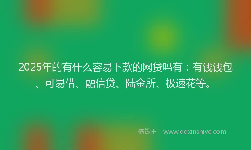 2025年的有什么容易下款的网贷吗有：有钱钱包、可易借、融信贷、陆金所、极速花等。