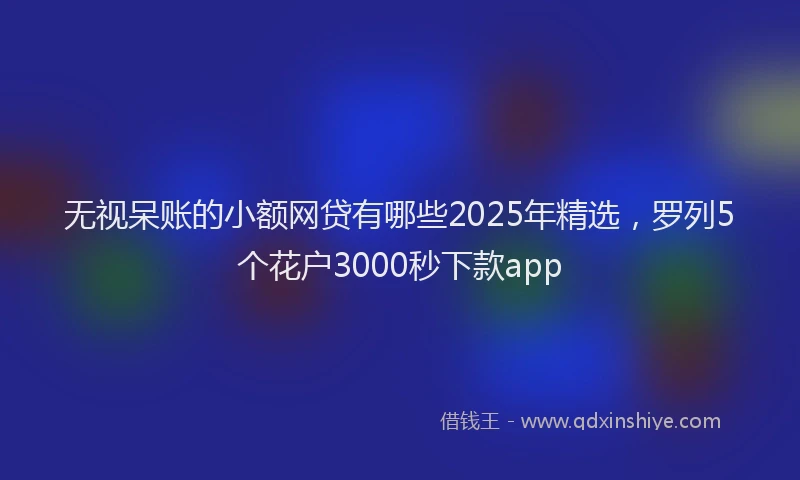 无视呆账的小额网贷有哪些2025年精选，罗列5个花户3000秒下款app