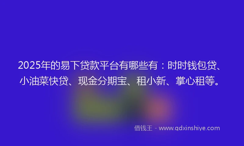 2025年的易下贷款平台有哪些有：时时钱包贷、小油菜快贷、现金分期宝、租小新、掌心租等。