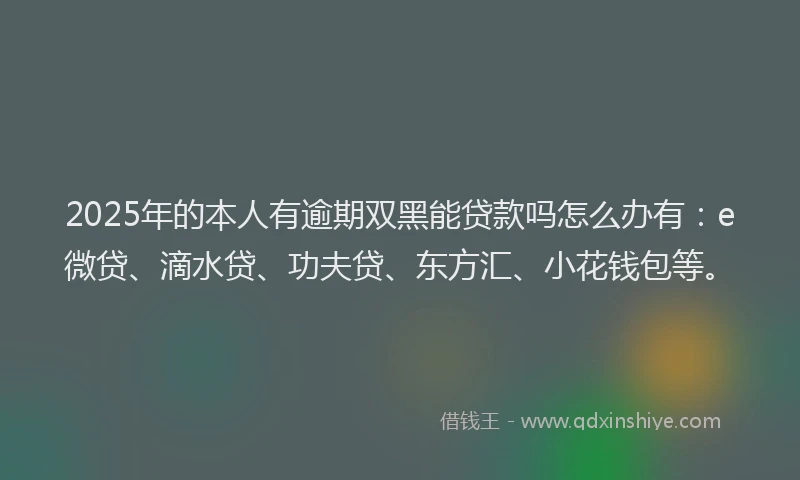 2025年的本人有逾期双黑能贷款吗怎么办有：e微贷、滴水贷、功夫贷、东方汇、小花钱包等。