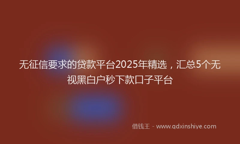 无征信要求的贷款平台2025年精选，汇总5个无视黑白户秒下款口子平台
