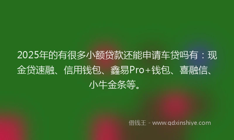 2025年的有很多小额贷款还能申请车贷吗有：现金贷速融、信用钱包、鑫易Pro+钱包、喜融信、小牛金条等。