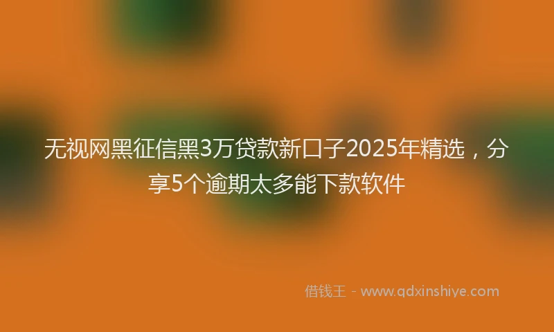 无视网黑征信黑3万贷款新口子2025年精选，分享5个逾期太多能下款软件