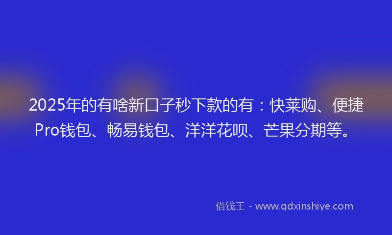 2025年的有啥新口子秒下款的有：快莱购、便捷Pro钱包、畅易钱包、洋洋花呗、芒果分期等。