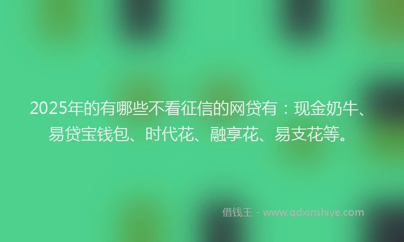 2025年的有哪些不看征信的网贷有：现金奶牛、易贷宝钱包、时代花、融享花、易支花等。
