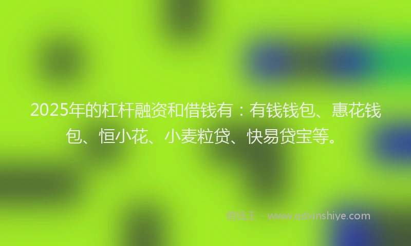 2025年的杠杆融资和借钱有：有钱钱包、惠花钱包、恒小花、小麦粒贷、快易贷宝等。