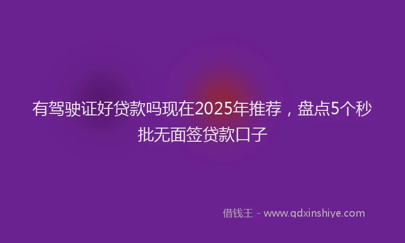 有驾驶证好贷款吗现在2025年推荐，盘点5个秒批无面签贷款口子