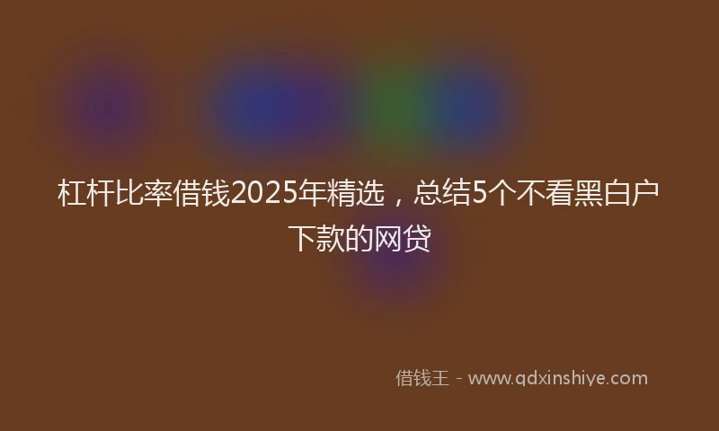 杠杆比率借钱2025年精选，总结5个不看黑白户下款的网贷