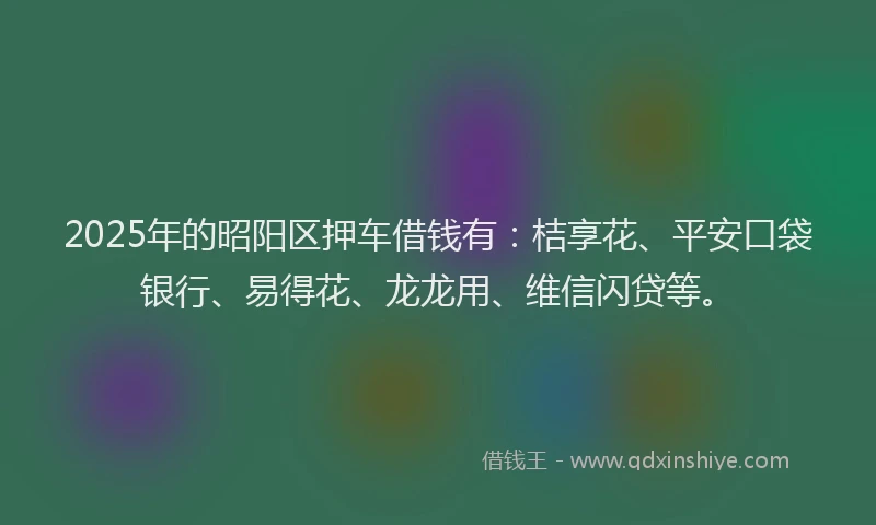 2025年的昭阳区押车借钱有：桔享花、平安口袋银行、易得花、龙龙用、维信闪贷等。