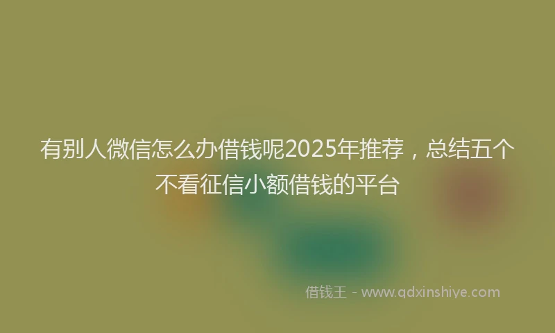 有别人微信怎么办借钱呢2025年推荐，总结五个不看征信小额借钱的平台