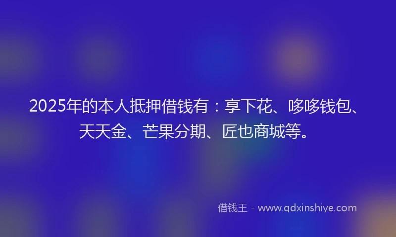 2025年的本人抵押借钱有：享下花、哆哆钱包、天天金、芒果分期、匠也商城等。