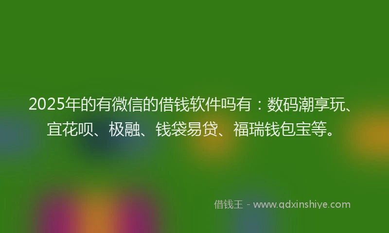 2025年的有微信的借钱软件吗有：数码潮享玩、宜花呗、极融、钱袋易贷、福瑞钱包宝等。