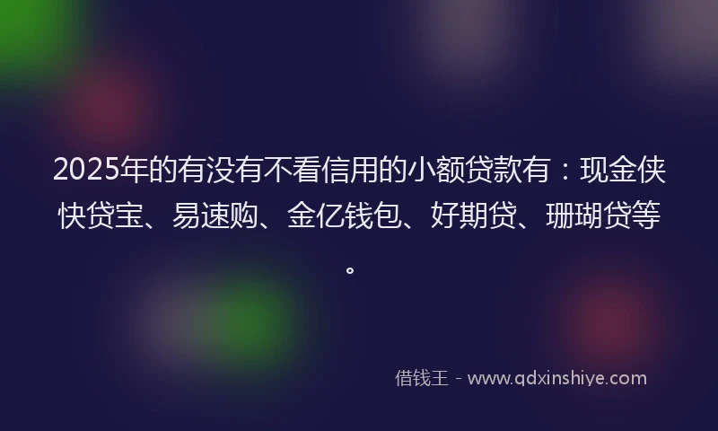 2025年的有没有不看信用的小额贷款有：现金侠快贷宝、易速购、金亿钱包、好期贷、珊瑚贷等。