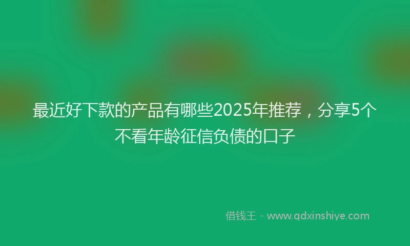 最近好下款的产品有哪些2025年推荐，分享5个不看年龄征信负债的口子