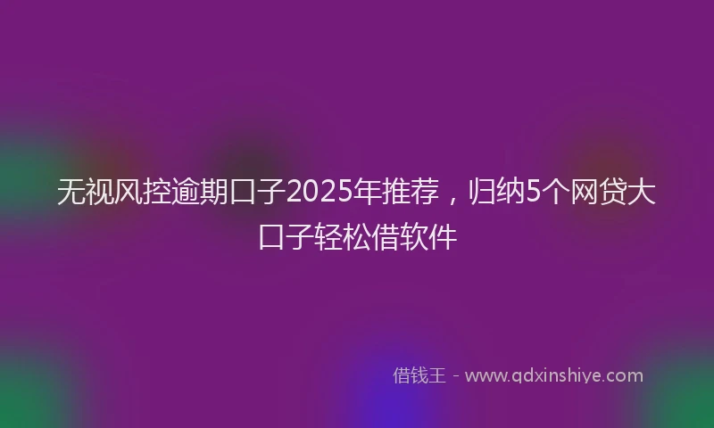 无视风控逾期口子2025年推荐，归纳5个网贷大口子轻松借软件