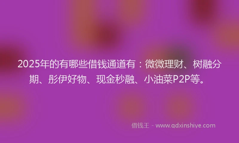 2025年的有哪些借钱通道有：微微理财、树融分期、彤伊好物、现金秒融、小油菜P2P等。
