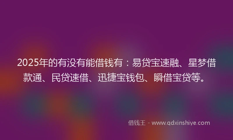 2025年的有没有能借钱有：易贷宝速融、星梦借款通、民贷速借、迅捷宝钱包、瞬借宝贷等。