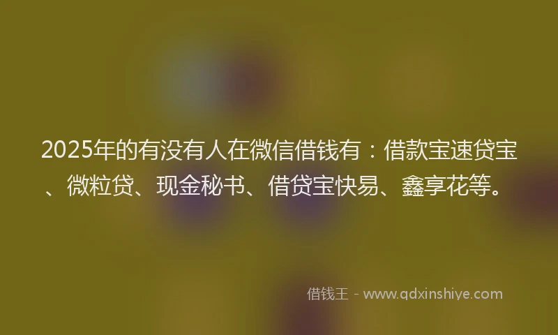 2025年的有没有人在微信借钱有：借款宝速贷宝、微粒贷、现金秘书、借贷宝快易、鑫享花等。