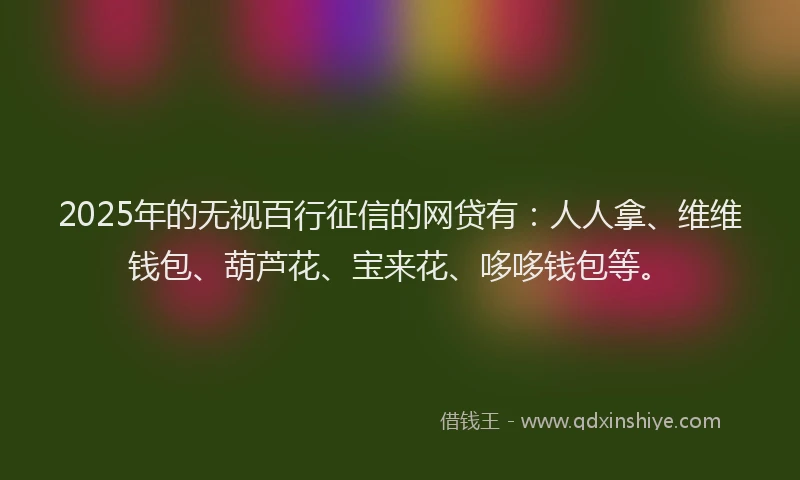 2025年的无视百行征信的网贷有：人人拿、维维钱包、葫芦花、宝来花、哆哆钱包等。