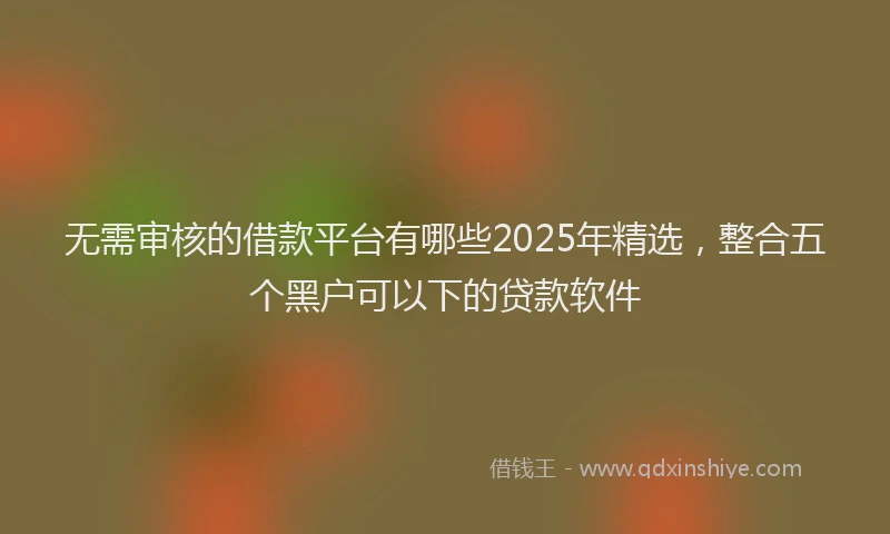 无需审核的借款平台有哪些2025年精选，整合五个黑户可以下的贷款软件