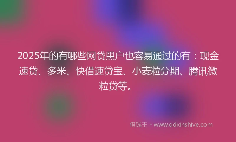 2025年的有哪些网贷黑户也容易通过的有：现金速贷、多米、快借速贷宝、小麦粒分期、腾讯微粒贷等。