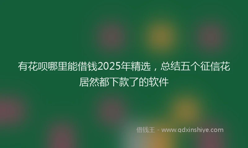 有花呗哪里能借钱2025年精选，总结五个征信花居然都下款了的软件