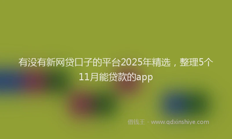 有没有新网贷口子的平台2025年精选，整理5个11月能贷款的app
