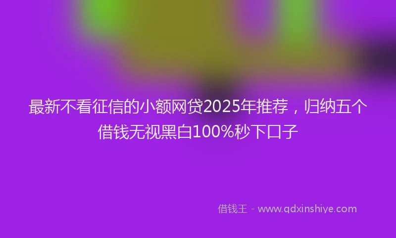 最新不看征信的小额网贷2025年推荐，归纳五个借钱无视黑白100%秒下口子