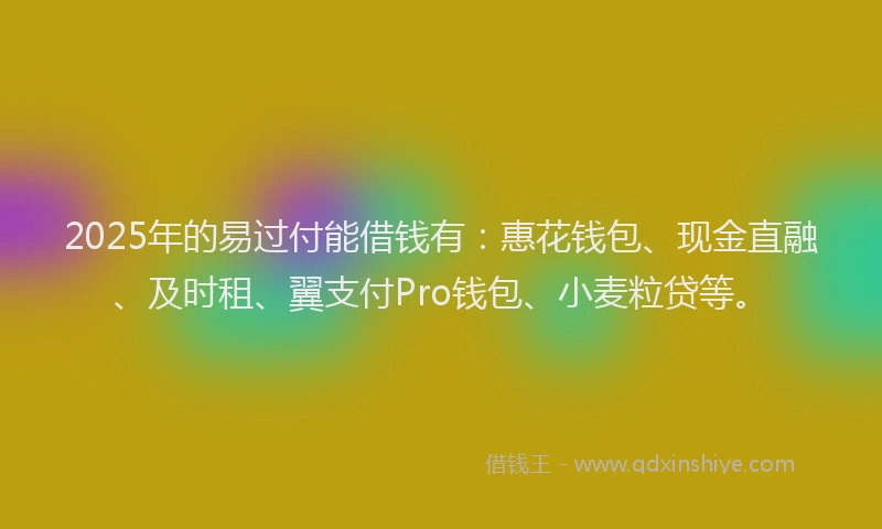 2025年的易过付能借钱有：惠花钱包、现金直融、及时租、翼支付Pro钱包、小麦粒贷等。