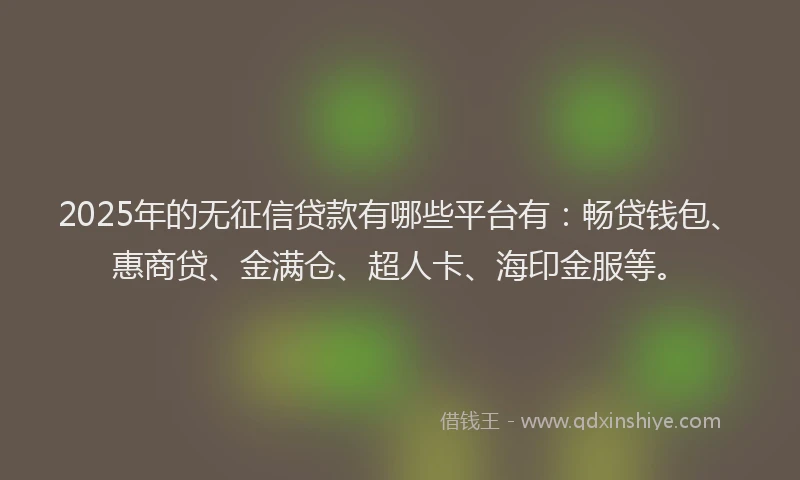2025年的无征信贷款有哪些平台有：畅贷钱包、惠商贷、金满仓、超人卡、海印金服等。
