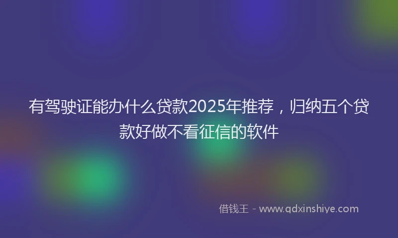 有驾驶证能办什么贷款2025年推荐，归纳五个贷款好做不看征信的软件