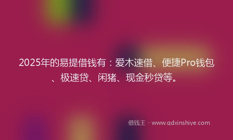 2025年的易提借钱有：爱木速借、便捷Pro钱包、极速贷、闲猪、现金秒贷等。