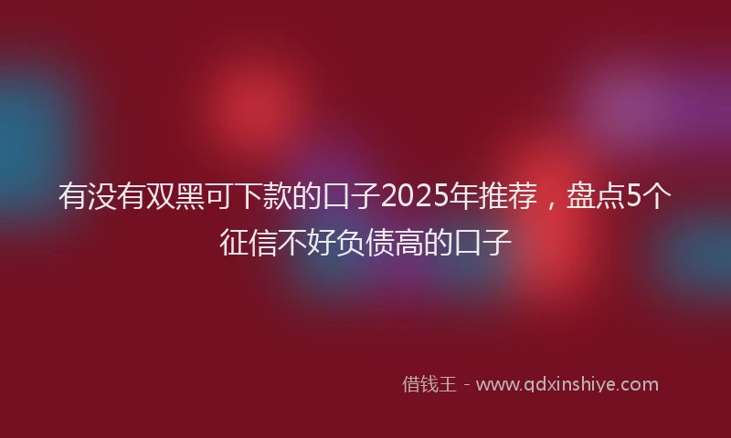 有没有双黑可下款的口子2025年推荐，盘点5个征信不好负债高的口子