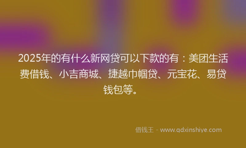 2025年的有什么新网贷可以下款的有：美团生活费借钱、小吉商城、捷越巾帼贷、元宝花、易贷钱包等。