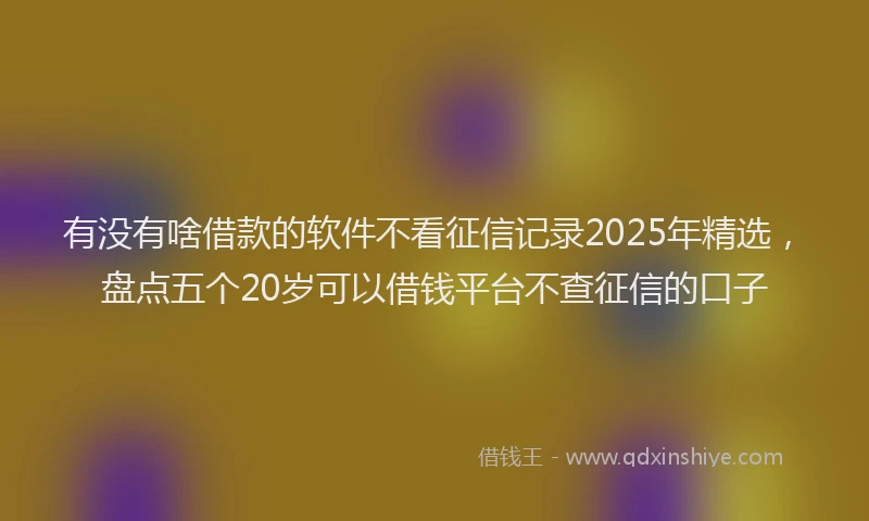 有没有啥借款的软件不看征信记录2025年精选，盘点五个20岁可以借钱平台不查征信的口子