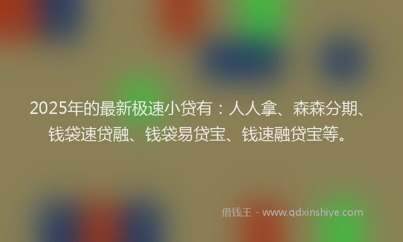 2025年的最新极速小贷有：人人拿、森森分期、钱袋速贷融、钱袋易贷宝、钱速融贷宝等。
